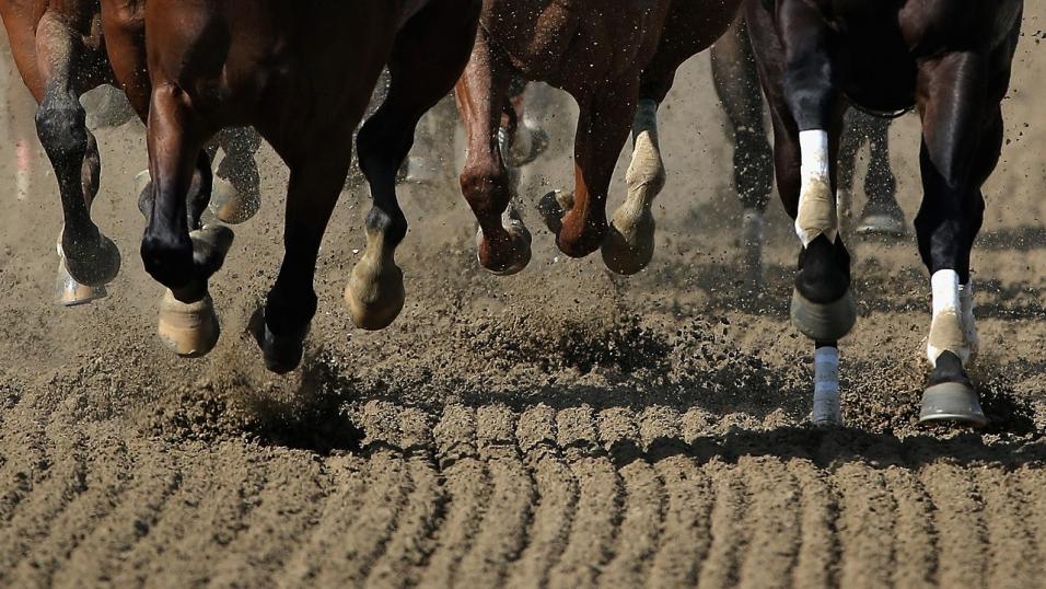 Horses running on dirt